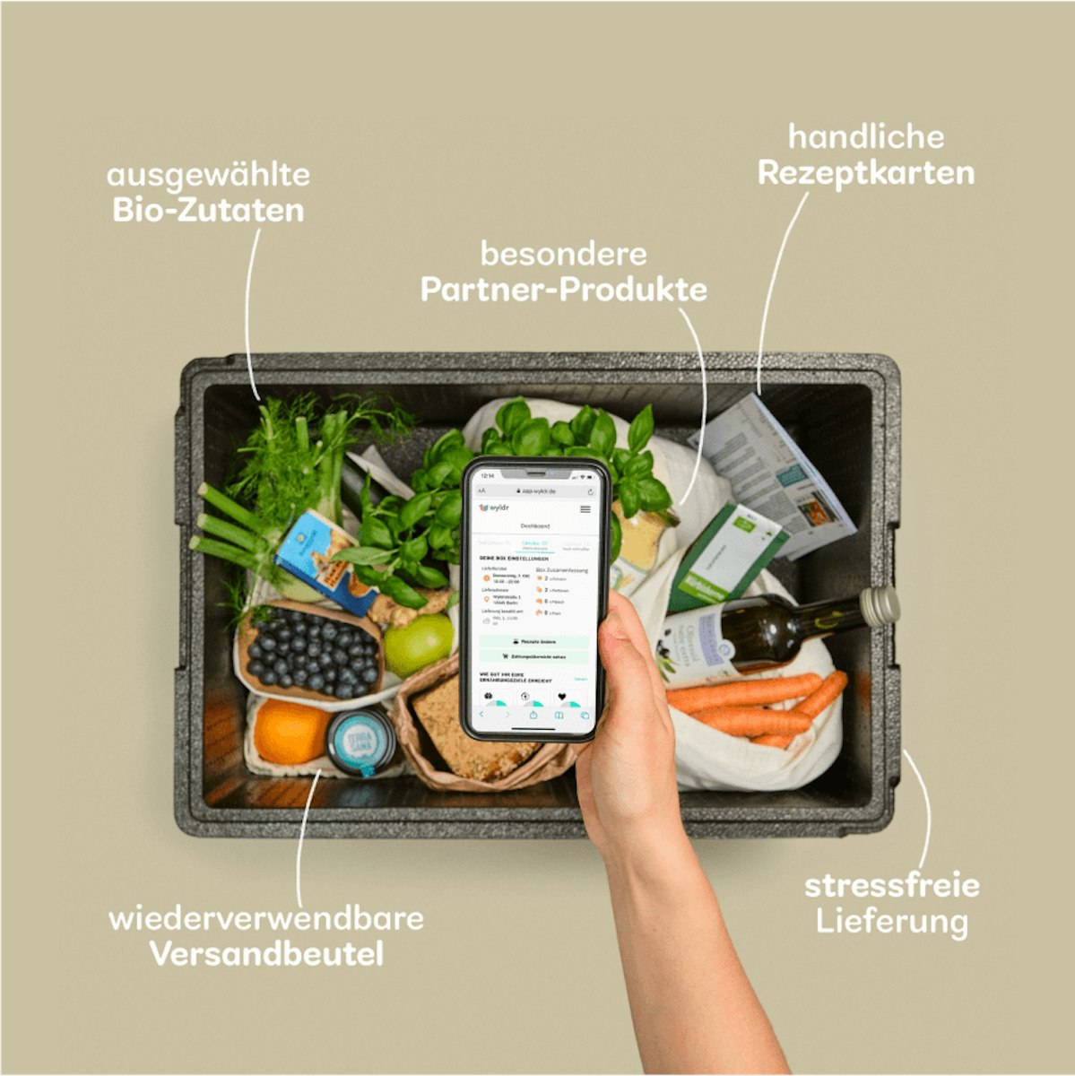 Cover Image for undefined