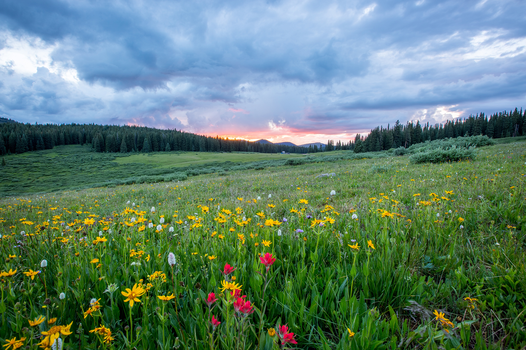 Summer Events in Vail, Colorado