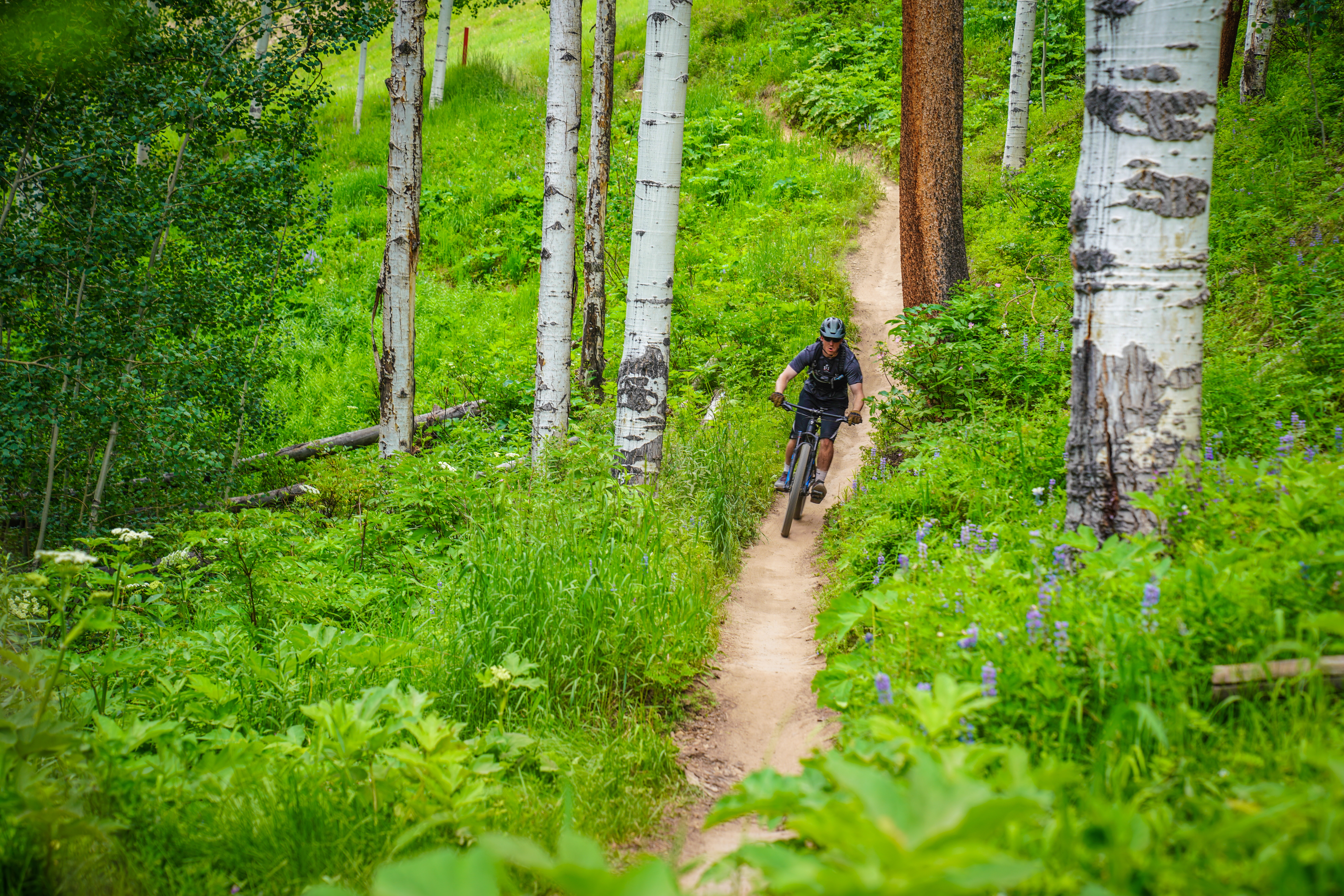 Where to Rent Mountain Gear in Telluride, Colorado: Your Ultimate Guide
