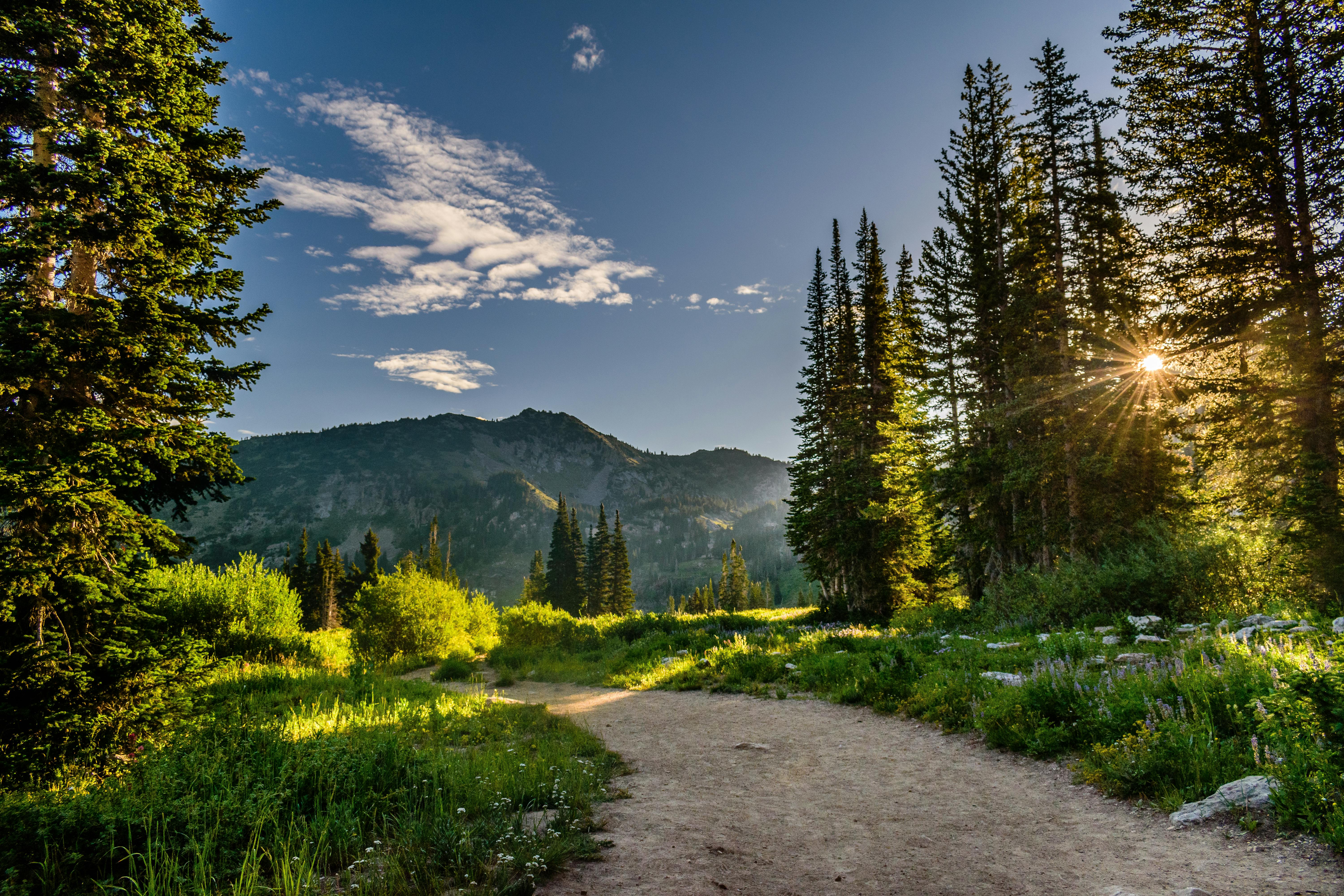 Summer Hiking in Utah: Exploring the Best Trails in 2025