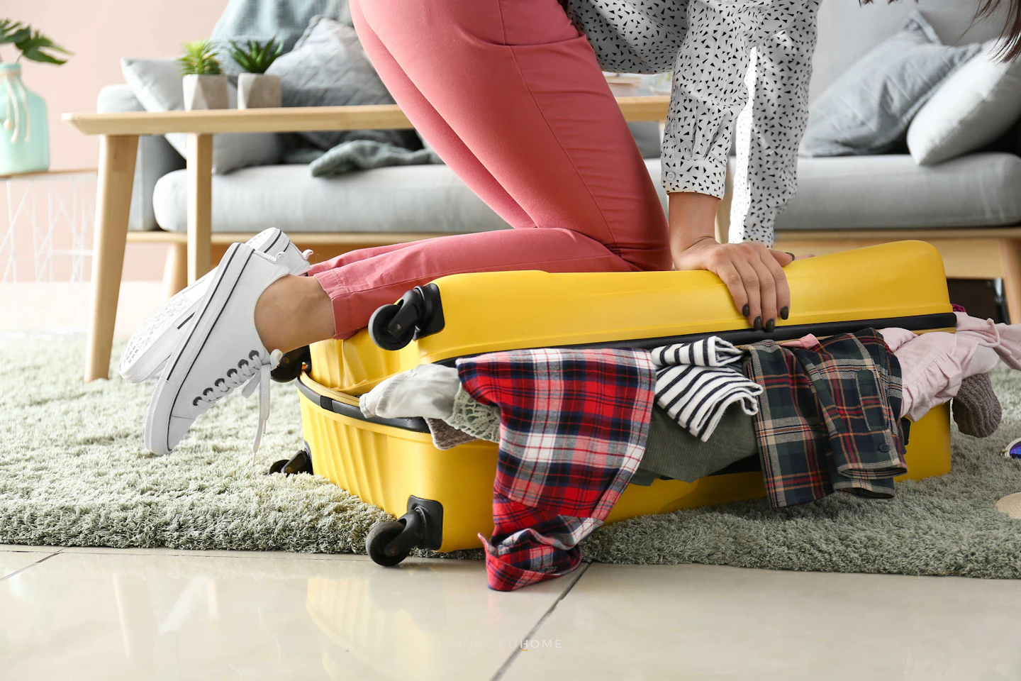 Luggage, Equipment, and Package Shipping