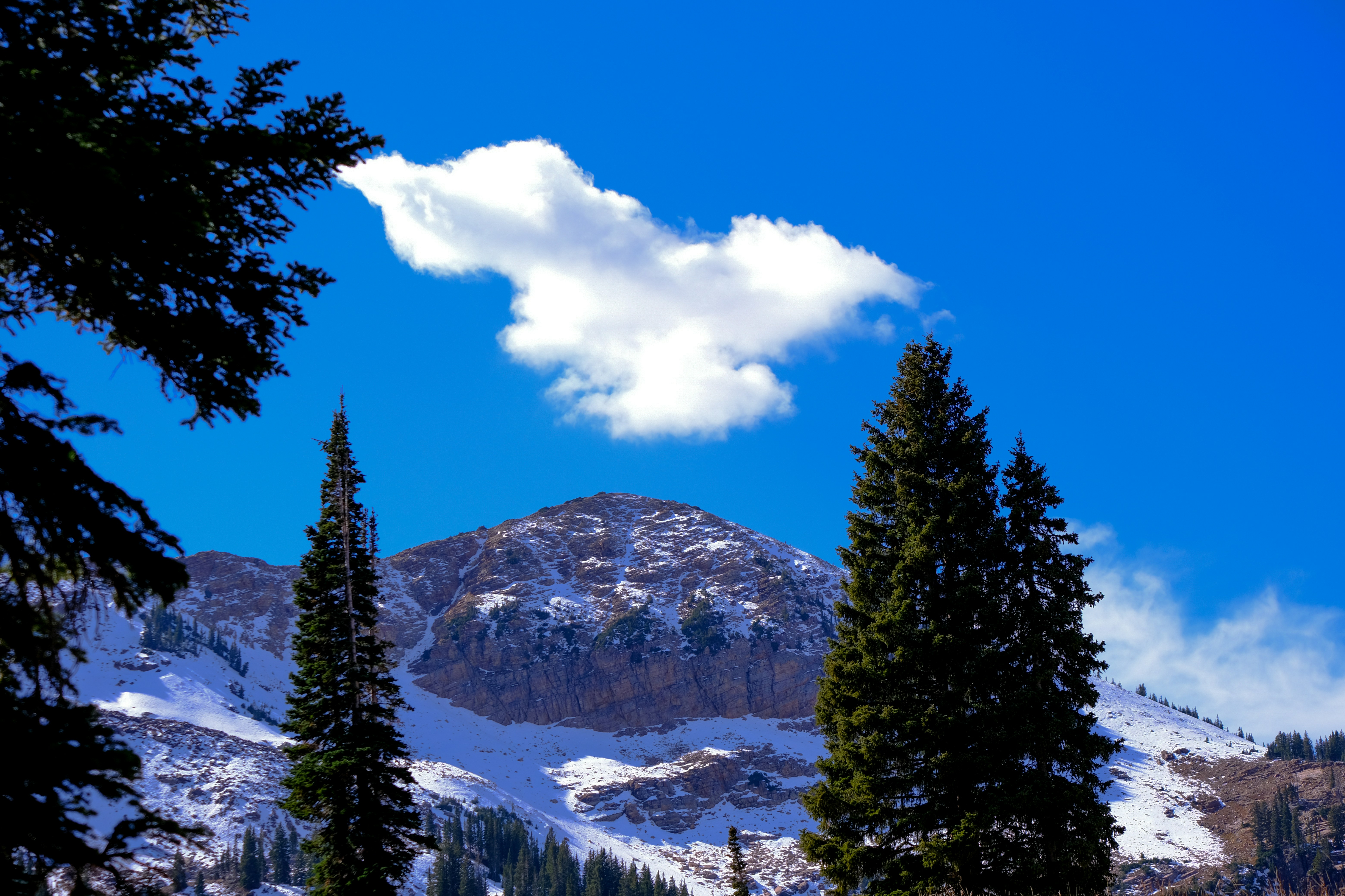 The Complete Guide: Things to Do in Alta, Utah