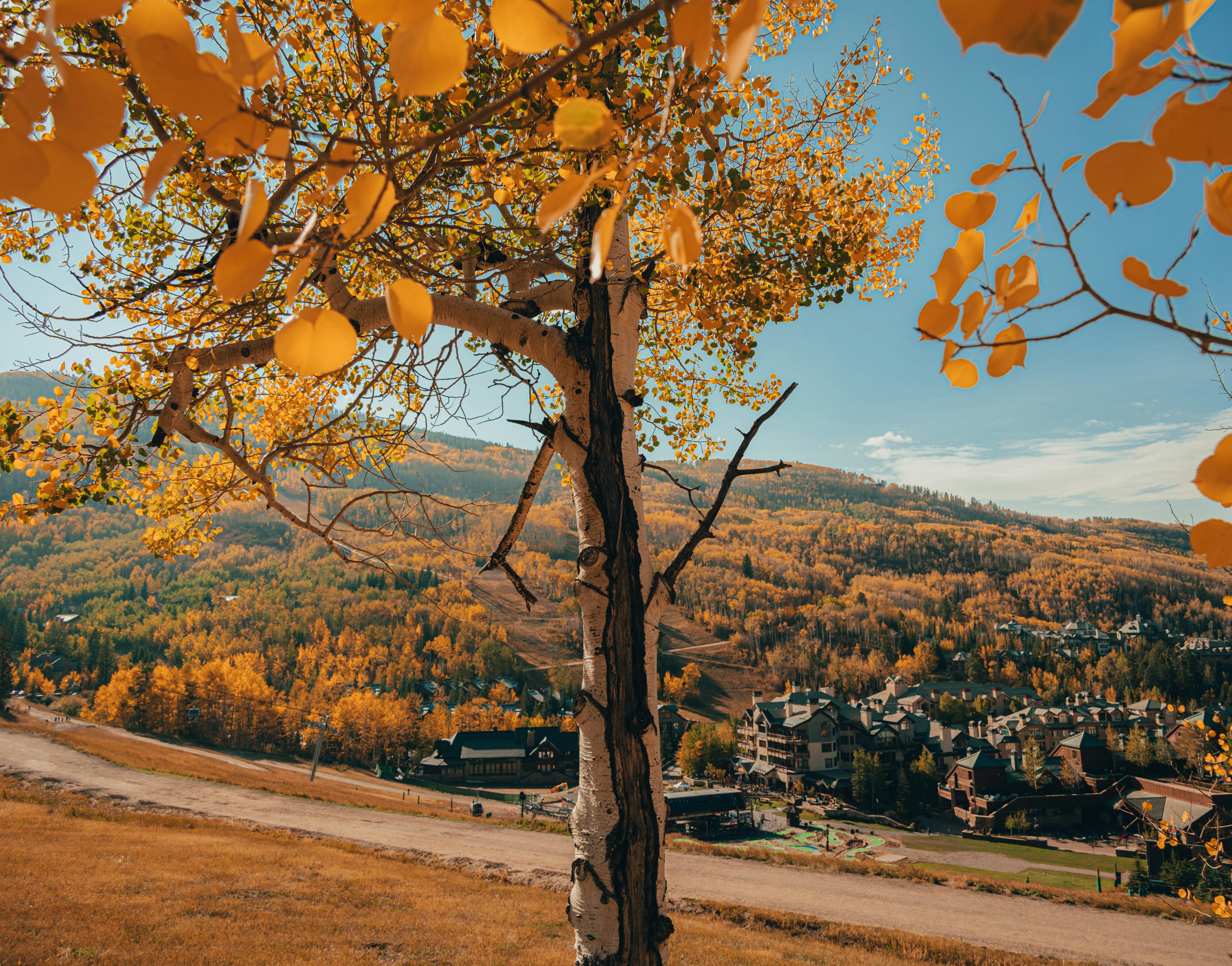 How to Get to Beaver Creek, Colorado