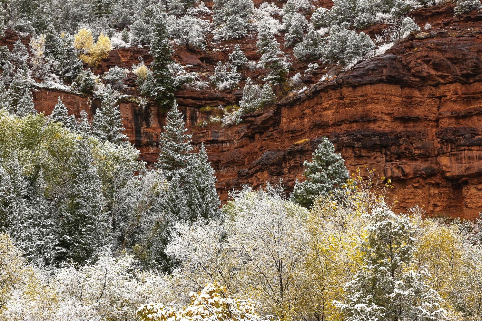 Telluride Christmas: A Holiday Week in the Box Canyon