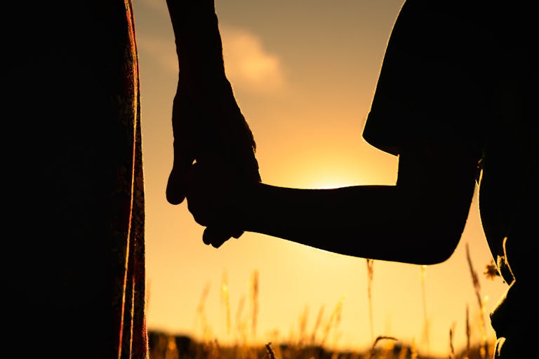 surrogate, eggs, egg donation, iVF