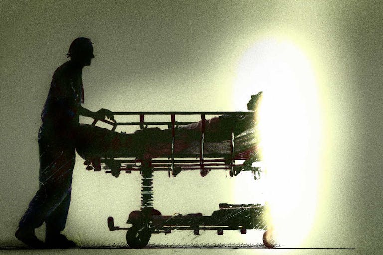 euthanasia, disabled, assisted suicide, organ