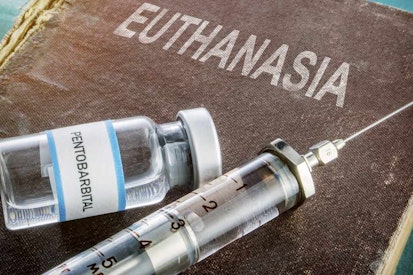 euthanasia