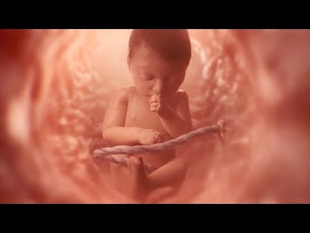 The Science is Crystal Clear On The Beginning Of Life thumbnail