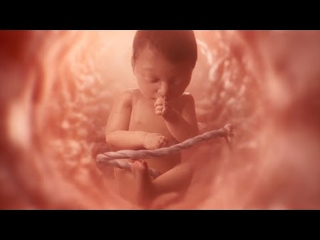 The Science is Crystal Clear On The Beginning Of Life thumbnail