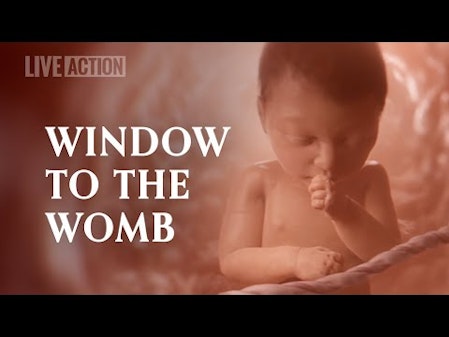 A Never Before Seen Look At Human Life In The Womb | Baby Olivia thumbnail