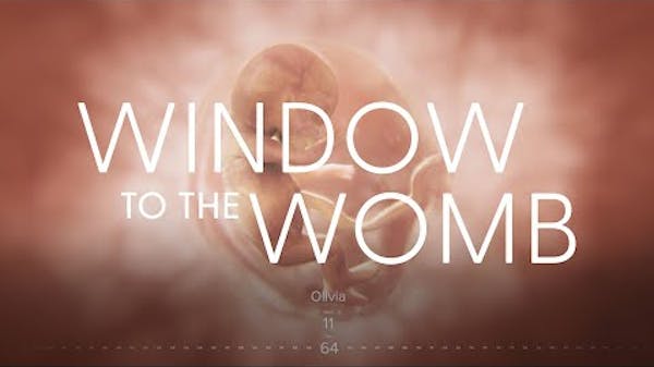 Amazing Timelapse of EVERY SINGLE DAY of a Child’s Development in the Womb | Window to the Womb thumbnail