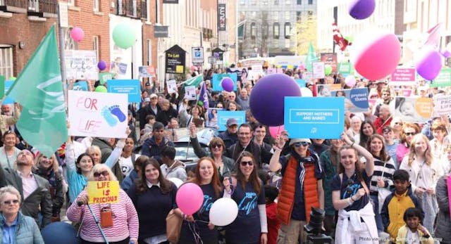 5.5.2025 – The annual March for Life organised by the Pro Life Campaign took place in Dublin on Bank Holiday Monday starting at University Church St Stephen’s Green and making it’s way to Leinster House where speeches were heard by a large crowd of supporters. Pic shows some of the crowd in Molesworth St on Monday at the annual March For Life. Pic John Mc Elroy. NO FEE. Thousands of pro-lifers attend Dublin March for Life image