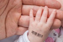 IVF, reproductive technology, egg donor, sperm