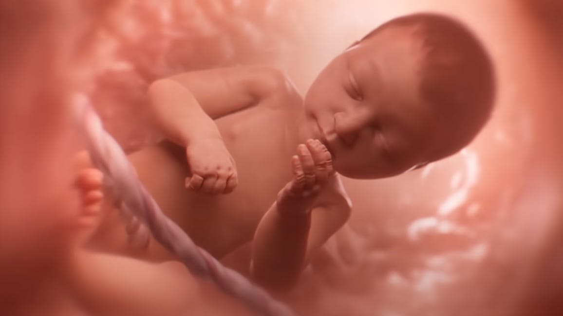Baby in Womb