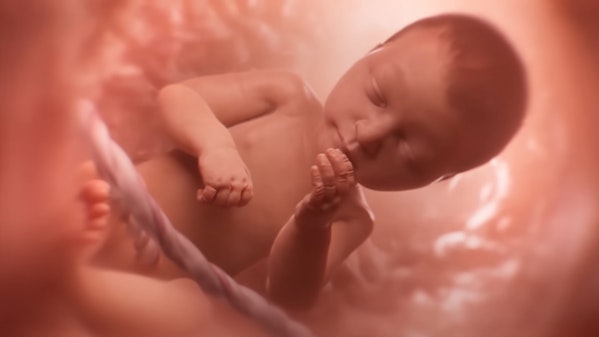 Baby in Womb