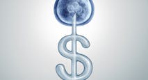 IVF Cost