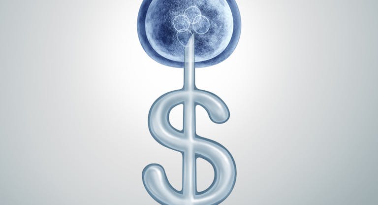 IVF Cost