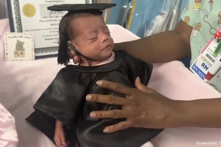 Kate preemie 7 news miami