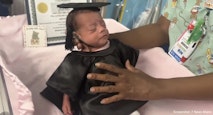 Kate preemie 7 news miami