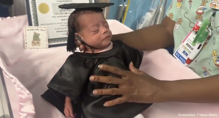 Kate preemie 7 news miami