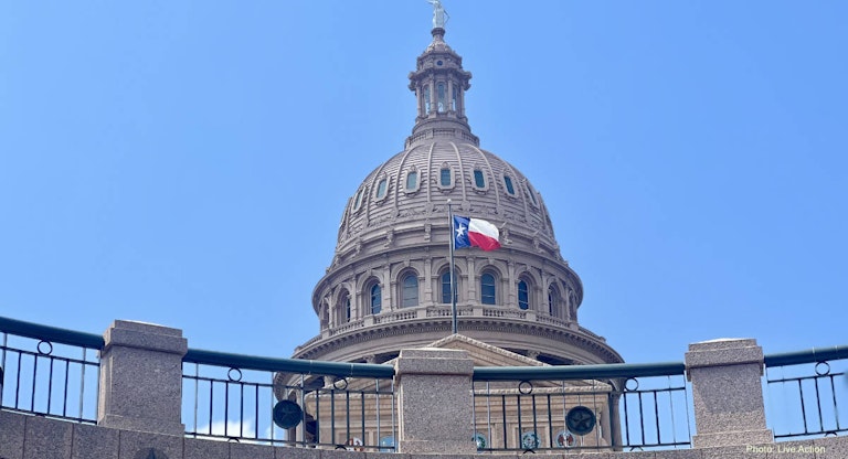 Texas Capitol (Sheena Rodriguez)