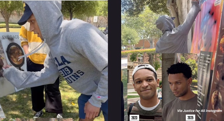 Justice for All, UCLA