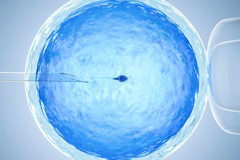 IVF, abort, sperm donation, egg donation, Nigeria