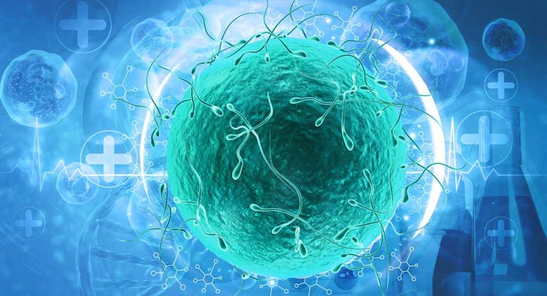 sperm donor