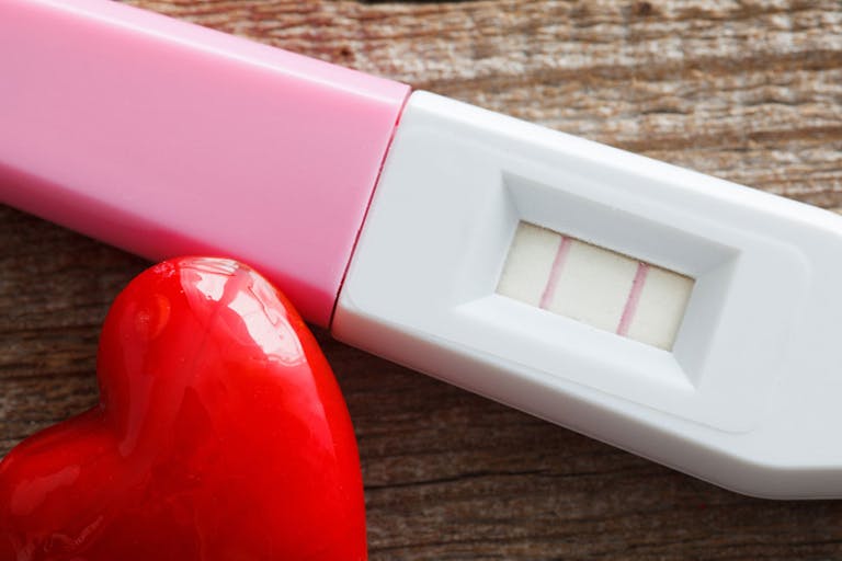 heartbeat, fertility