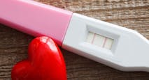heartbeat, fertility