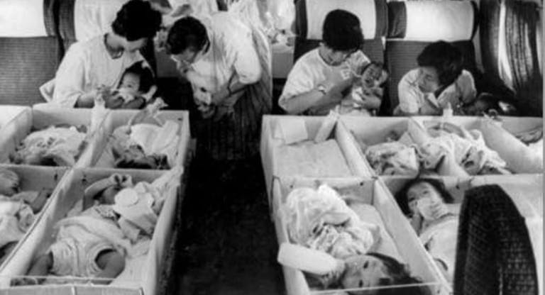 Conceiving Crime: The Adoption Machine featured image