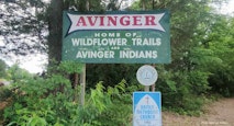 Texas City of Avinger becomes 74th ‘Sanctuary City for the Unborn’ in US  featured image