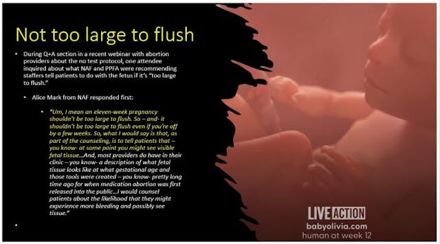 Abortion proponents on babies too large to flush with at home DIY abortion pill Image: Abortion proponents on babies too large to flush with at home DIY abortion pill