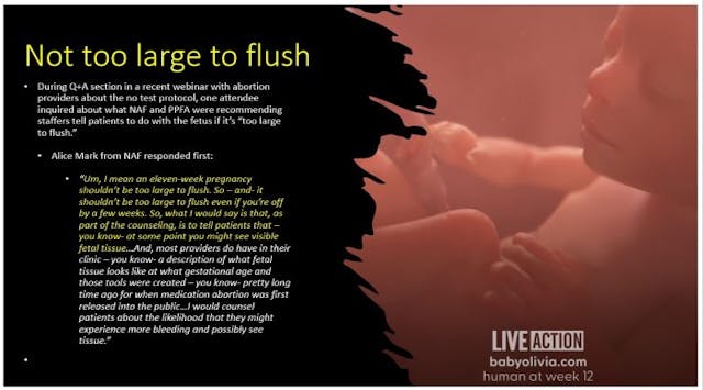 Image: Abortion proponents on babies too large to flush with at home DIY abortion pill