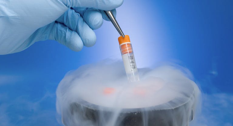 frozen embryo, embryos, embryo