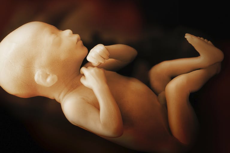 fetal pain, tiktok, pro-life, preborn children, Roe, Wyoming, Biden, amendment