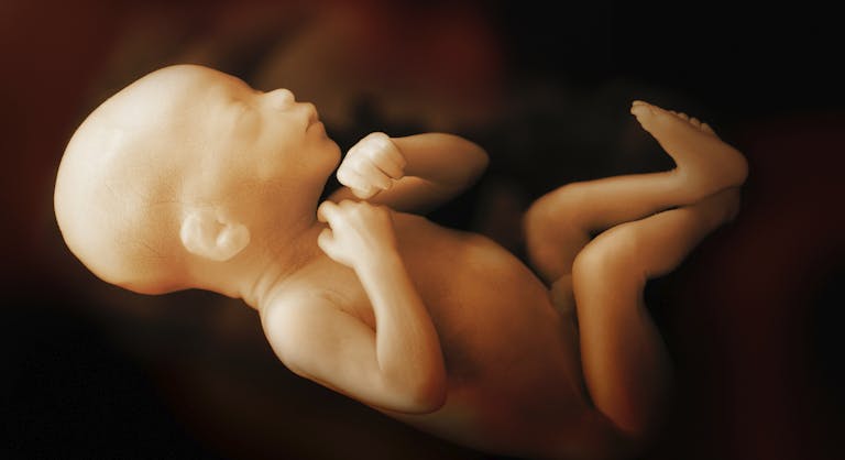 fetal pain, tiktok, pro-life, preborn children, Roe, Wyoming, Biden, amendment