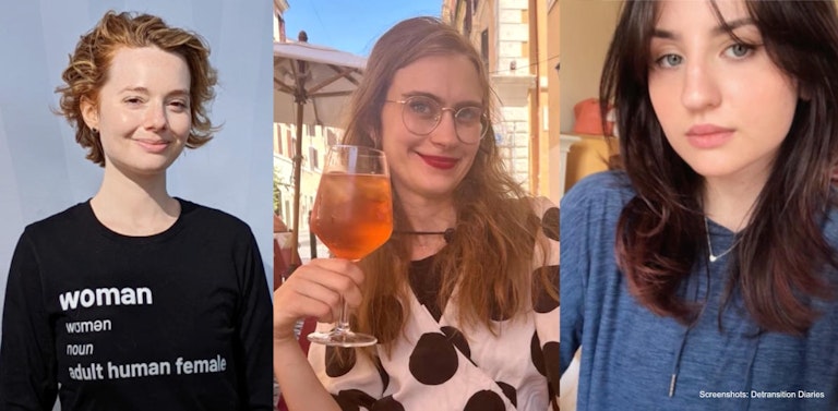 detransition diaries screenshot
