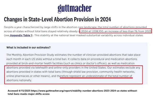 Guttmacher Institute 2024 abortion numbers