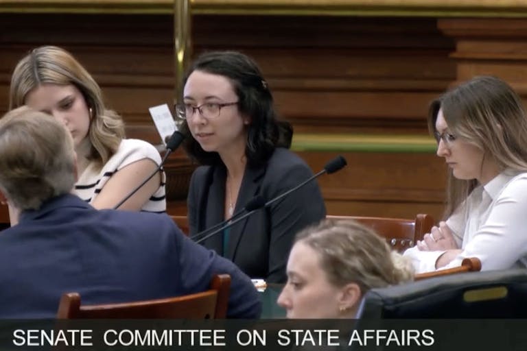 Lenzi Sheible Texas testimony