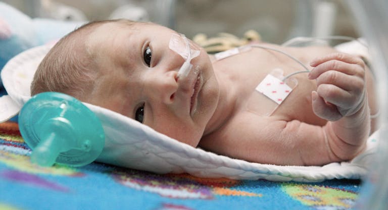 Newborn baby in incubator
