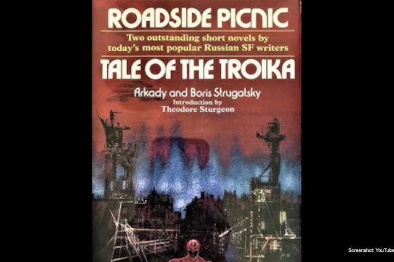roadside picnic novel