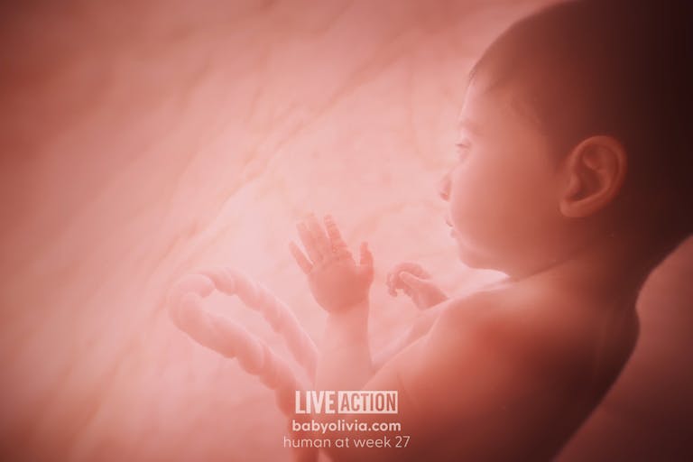 Baby Olivia third trimester, abortion