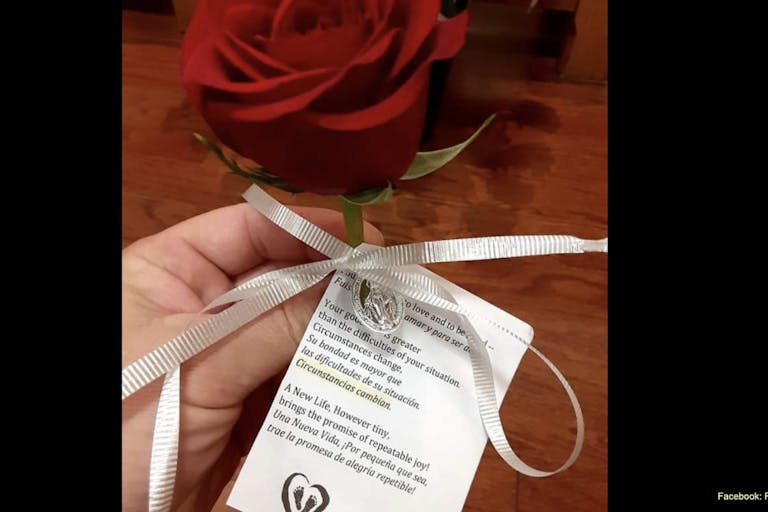 red rose rescue facebook