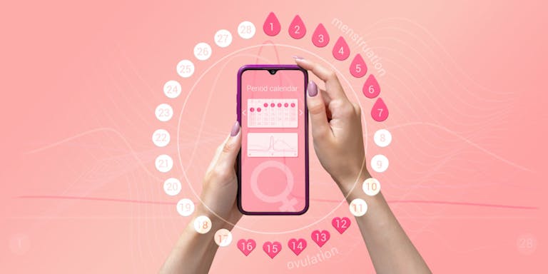 Menstrual cycle tracker mobile app on the smartphone screen in the hands of a woman. Modern technologies for tracking women’s health, pregnancy planning