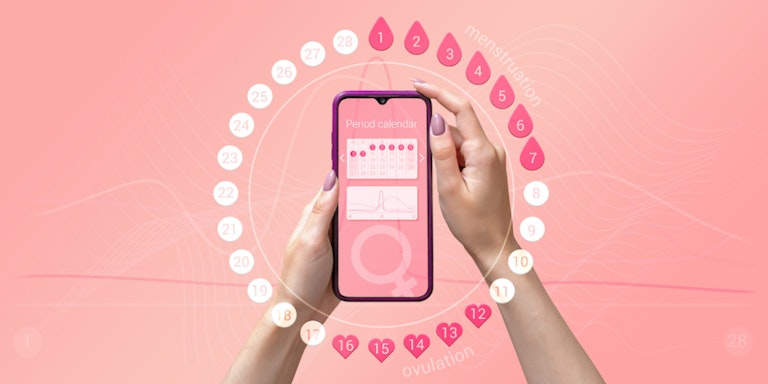 Menstrual cycle tracker mobile app on the smartphone screen in the hands of a woman. Modern technologies for tracking women’s health, pregnancy planning