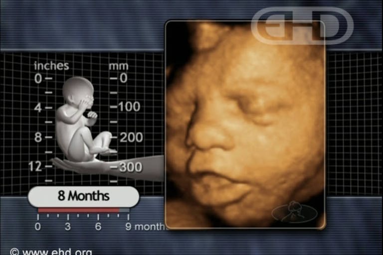 8 months ehd.org Virginia lawmakers advance amendment making abortion a ‘right’… and easier to get in third trimester featured image