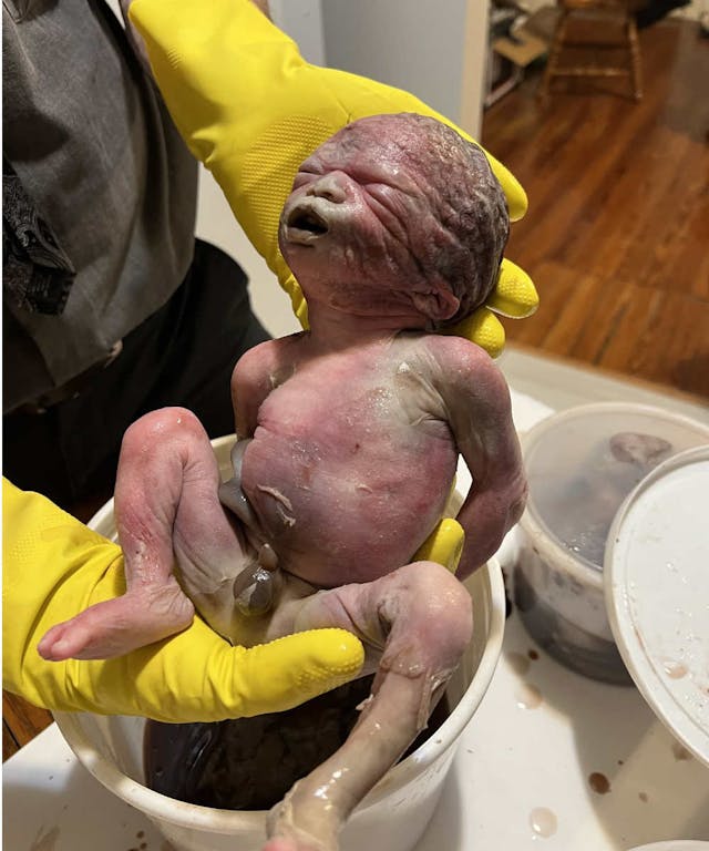 Baby Christopher was killed late in pregnancy at a D.C. abortion facility. Photo courtesy of Progressive Anti-Abortion Uprising. Justice for the Five