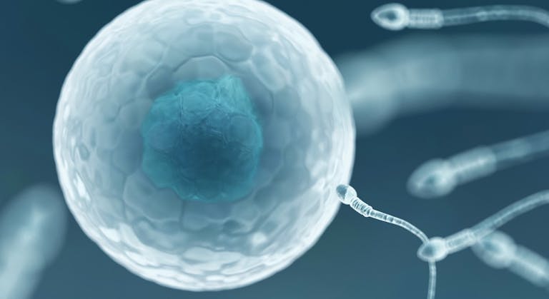 fertilization, sperm bank, sperm donors, sperm donations, sperm