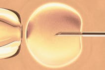 IVF, YouTube, Alabama